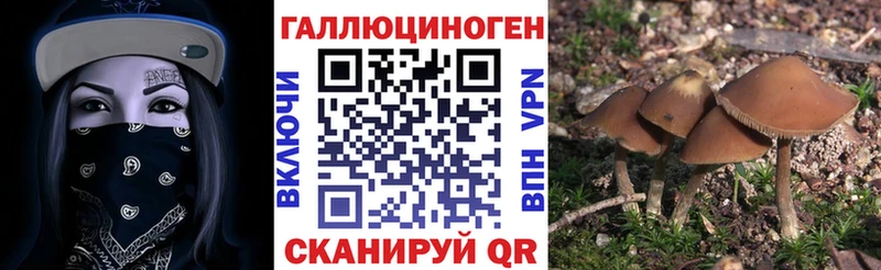 Галлюциногенные грибы мицелий Нижняя Тура