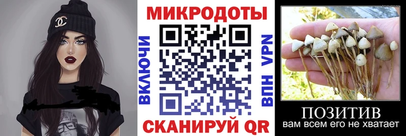 MEGA как войти Нижняя Тура Галлюциногенные грибы прущие грибы